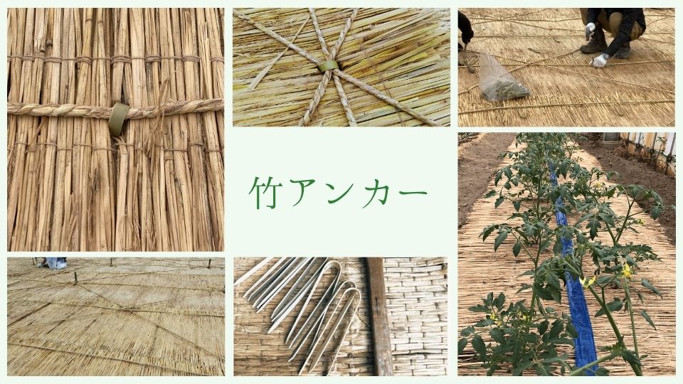 竹製 アンカー